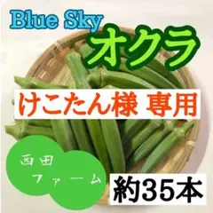 熊本県八代産 新鮮オクラ ブルースカイ 35本