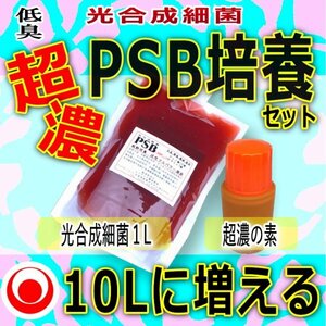 【 注目 】１０Lに増やして “ 超濃 ” 光合成細菌★培養セット★自分でふやしてPSBをたっぷり使う！（検索用：業務用,20L,18L,培基,餌,増