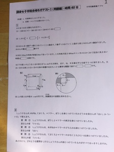 ＜PDF送信版＞中学受験　頌栄女子学院中学校　2025年新合格への算数プリント◆特訓プリント付き