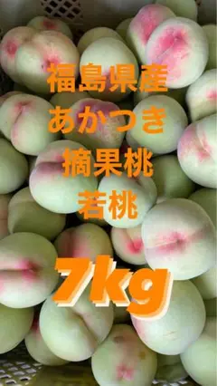 摘果桃　7kg