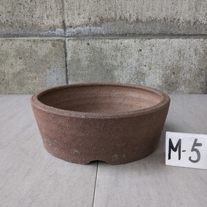 信楽山草鉢　　丸切立焼き締め　7号 / 22cm　　中古　M-⑤　　　山野草 盆栽 古典植物