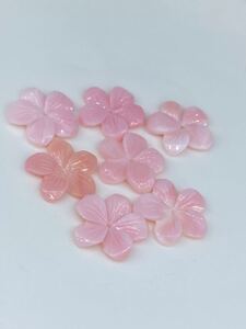 209　コンクシェル　手彫りお花カット　7pcs