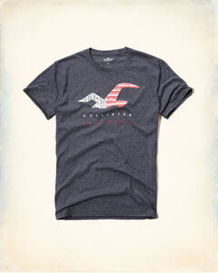 * HOLLISTER ホリスター Tシャツ Americana Graphic Tee T-Shirt S / Navy *