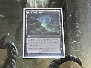 MTG アガディームの覚醒/地下遺跡、アガディーム 日 1枚迄