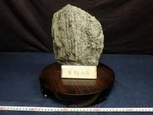 L5467 南極 石 8.34kg 水晶 鉱物 鉱石 天然石 鑑賞石 パワーストーン