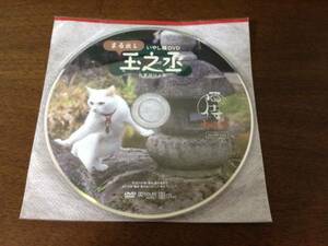 猫侍 南の島へ行く 入場者特典 まる出し玉之丞 DVD