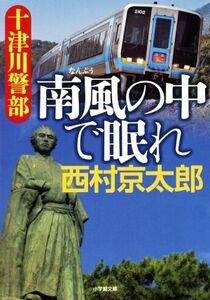 十津川警部 南風の中で眠れ 小学館文庫/西村京太郎(著者)