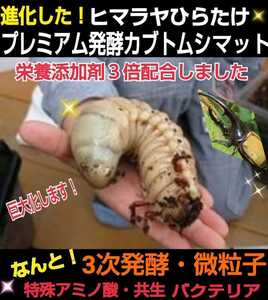 進化した！プレミアム3次発酵カブトムシマット☆特殊アミノ酸など栄養添加剤を3倍配合！トレハロース、ローヤルゼリー強化！微粒子仕上げ！