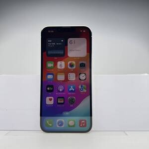 iPhone 13 Pro 256GB シルバー SIMフリー 訳あり品 ジャンク 中古本体 スマホ スマートフォン 白ロム [出品ID：29419]