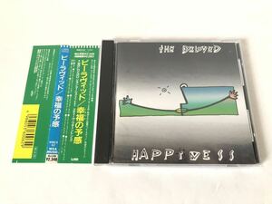 美品 見本 帯付/ THE BELOVED ビーラヴィッド HAPPINESS 幸福の予感 プロモ盤