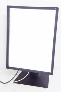 1 EIZO RadiForce RX250 21.3型 カラー液晶モニター