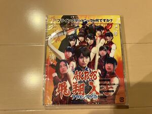 新品 AKB48 / フライングゲット