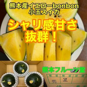 『大好評』熊本産【黒皮小玉スイカbonbon】3Lサイズ（秀品3玉約7.5kg箱込）熊本フルーツ堂15