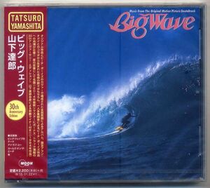☆山下達郎 「ビッグ・ウェイブ BIG WAVE 30th Anniversary Edition」 新品 未開封