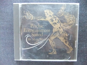 CDアルバム Psychic EntertainmentSound MrMaric World 小室哲也