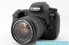 フルサイズ☆2620万画素☆Canon EOS 6D mark II標準セット