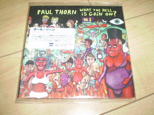 ○新品国内盤!ポール・ソーンPaul Saunderson/ホワット・ザ・ヘル・イズ・ゴーイン・オン*ロック