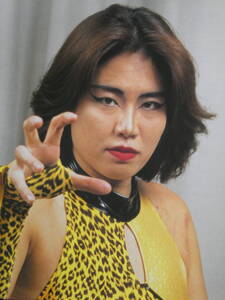 全日本女子プロレス　バイソン木村　入場テーマ曲収録CDアルバム