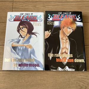 【美品】BLEACH ブリーチ オフィシャルキャラクターブック SOULs. アニメーションブック VIBEs. 久保帯人 送料185円