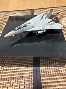 CENTURY WINGS(センチュリーウイングス) F-14AトムキャットVF-111サンダウナーズ　アメリカ海軍