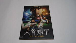 ★ 北海道日本ハムファイターズ　大谷翔平 投手三冠への軌跡★2DVD★