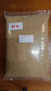 ☆　新米　令和６年産 『有機鴨作』 農家直送 コシヒカリ 『光』玄米5kg 　無農薬・無化学肥料・無除草剤栽培 ◎