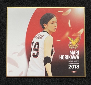 ☆トレーディングmini色紙 11 堀川真理 火の鳥NIPPON 2018 バレーボール