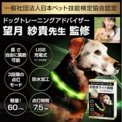 首輪 犬 お散歩ライト ライト お散歩ライト首輪 レインボー 光る首輪 光る