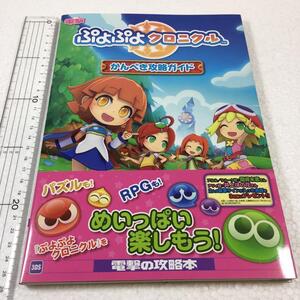 即決　未読未使用品　全国送料無料♪　ぷよぷよクロニクル かんぺき攻略ガイド　JAN- 9784048925891