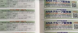 ANA 株主優待 グループ優待券 3枚 2025年5月末 ANAホテル ゴルフ 等