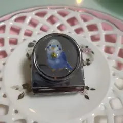 ハンドメイド　インコクリップマグネット