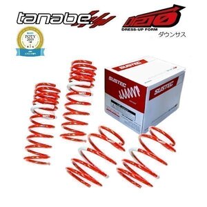 新品 tanabe タナベ ダウンサス (DF210) (前後set) オデッセイ RB1 (アブソルート)(FF 2400 NA H15/10-H17/12) RB1DK