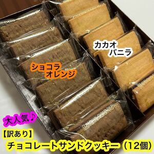 【ラスト】訳あり チョコレート サンドクッキー（ショコラオレンジ ＆ カカオバニラ）　12枚　アウトレット　焼菓子　《お一人様１点》