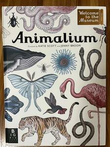 ☆ 洋書「Animalium」KATIE SCOTT and JENNY BROOM アニマリウム ようこそ、動物の博物館へ 2014年英語版 大型イラスト本