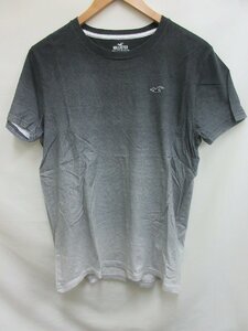 ホリスター HOLLISTER Tシャツ　サイズS