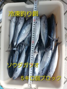 冷凍ソウダガツオ5kg弱ブロック!!!釣り餌等に!!!