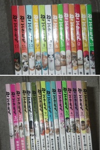 ●ねこのきもち　2016年12月号　2017年分　2018年分　2019年1月号から４月号まで　29冊