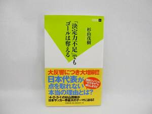 22823/「決定力不足」でもゴールは奪える (双葉新書) 