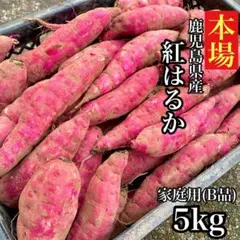 焼き芋屋謹製◎紅はるか 訳あり 5kg さつまいも シルクスイート好きに426