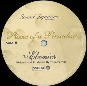 Theo Parrish Pieces Of A Paradox/SS004,レコード, 12インチ 中古盤/Deep House,Detroit