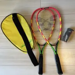 Speedminton スピードミントン