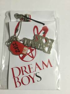 KAT-TUN DREAM BOYS 2012 イヤホンジャック Kis-My-Ft２