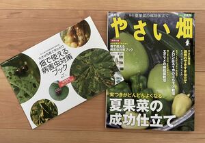 やさい畑　2019初夏号　夏野菜　病害虫対策　家庭菜園