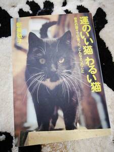 レア本★未読本★運のいい猫わるい猫　新美敬子