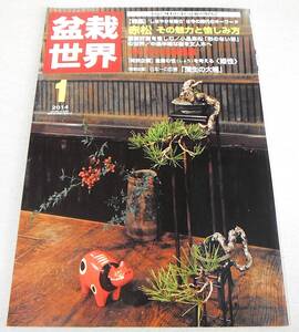 ●赤松(その魅力と愉しみ方)他「盆栽世界2014年1月号」