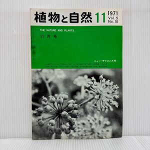 植物と自然 1971年11月号★ウド/出羽島のシラタマモ/砂丘植物の地下生態/大気汚染と植物/洋ランの原種/ニュー・サイエンス社