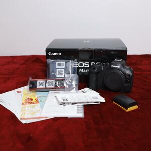 使用頻度少 新品購入 ワンオーナー美品 Canon EOS R6 mark ii