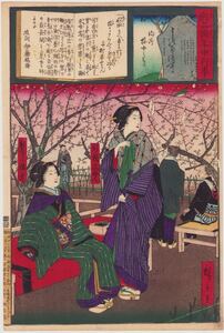 hana_desu15 真作 別品揃年中行事 向嶋 梅やしき 広重三代 明治16年(1883)本物 浮世絵 木版画 大判 錦絵 美人画 梅 ukiyoe hiroshige