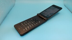 K759 docomo FOMA P-01E Panasonic ガラケー/ケータイ/パナソニック 簡易動作確認＆簡易清掃＆初期化OK 判定○ 現状品 送料無料　