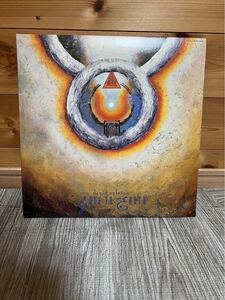 帯付 DAVID SYLVIAN GONE TO EARTH / デヴィッド・シルビアン 遥かなる大地へ レコード LP